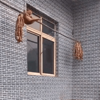 ��è����Ϊ�˳Կ��㳦������ľ����ˡ���