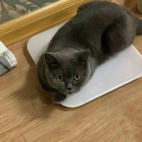 ��è��������Ҫ����֪���Լ����Ｘ����