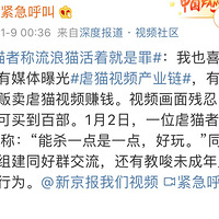 Űè�ߣ�����ϲ��è��������è���Ǹ��������ǻ��ž������