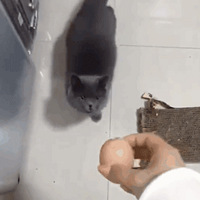 �е�è�Ե���һ���ӣ�ֱ�������ˡ�