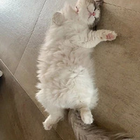 èèʲôʱ����ɰ�����Ȼ���Ľų����ʱ�򰡣�