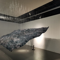 ��������ά��������չ