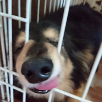 ʱǼʶһ£ҼҵĹӵжɵˣ