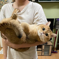 ��ֻè���ú���ճ����Ŀ���˾�����žͺóԣ�