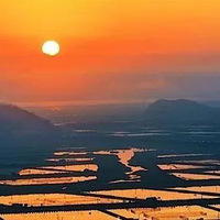 1.19 ��һ����,��ˮǧɽ;һ����,�׺�ɣ�����������ɭ�ֲ���