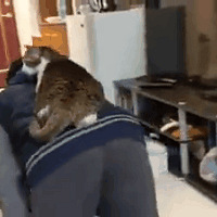 ��λ���Ѽ���������ӳ�Ѳ�����̲���һ��Ĵ�