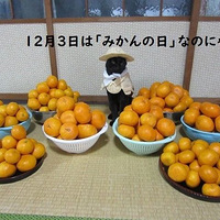 ��ֻ��è�ᰮ��cosplay���·��ൽ��������̫�Ͼ��ˣ�