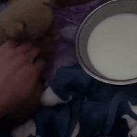 ҵĹǴˮġ