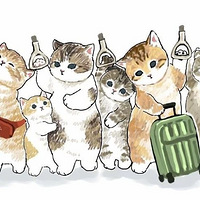 ��è���ɳ�������ģ��������ʲô���أ�