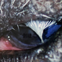 Ҽëϰޣҽ˵ǲ
