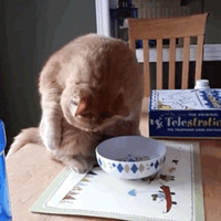 èè��ˮ������ʽ�У���մʪ��Ƥ���ٰ�ˮ�����Цʺ��