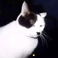 ����������յ�һЩ���߰������Ϣ��Ȼ�����ྐྵ��...