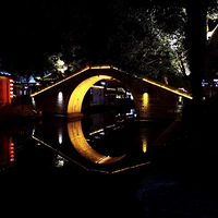 ҹ������