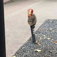 èè����·��˼��è��������ͱ��������滵�ˡ�