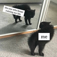 ������Ҫ���Ҽҵĺ�è�����ˡ���