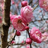 ���簵�㱨����