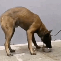 ȮϮɾȮӴϡ۷塱