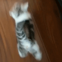 èè��սȫ�����С���ȣ�û�뵽��