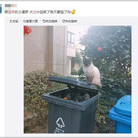 �벻Ҫ�ô��ڳ�Ϊè�ġ����١���