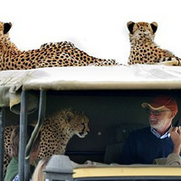 �����ڷ������ε�ʱ��һ��Ⱥ�������������ǵĳ���...