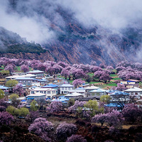 2020��3����Լ��֥�һ����������أ��ټ�������