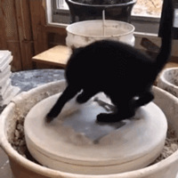 ��ˮ���������⵽ħ��ת�̳ͷ���������ˮզ��ô���ء�����