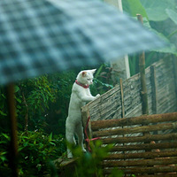 ��ν�è�ĳ���Ů��������ѧѧ��λ���������⡭