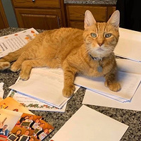 ����ȥ���ݳ��ᣬȴ�����ٲ�������һ�̲��������У�̫ճ���ˣ�