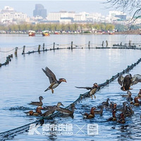 ȷ���ˣ�Ҫ�������µ����꣡��Ϧ���һ�������������ˮ�а���.