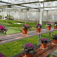 ���������л����տ��ĵط�����ȥ�����տ���һ��Ҫ����