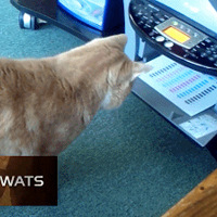 �����˵�ս�����ж�ǿ����ʺ�ٸø�лʥ�ϵĲ�ɱ֮��