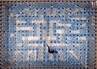 ͬ����è���׽�ܵ����̾�Ȼ������ô�ࣿ����