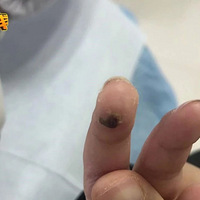 �㽭�����Ŷ����̲裬ͻȻһ�ɽ�ζ������5�����˫�־������.