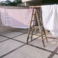 ��������ץ��ϴϴɹɹ�������𣬺��ݽ��������Ҫһֱ�µ�����