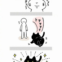 ���ѷ���������è���գ�����è̫�����ˣ�����ô�죿