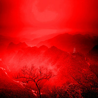 �����ƹ󴨲�����