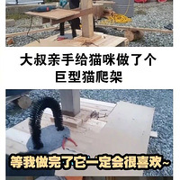 ����ϲ��è������ָ�����èι���ĺ���Ǻ����صģ� ��