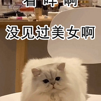 ���ȣ�ԭ����èè����������Щ��״��