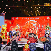 ���������ô������Ƶ��Ƭ�����ģ������������ɹ������202