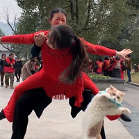 ���Ѵ�è���ϼҹ��꣬�������Ҫè����ȥ���㳡�裬����ʮ�ֱ�Ц