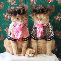 ��ԭ�ٻص����ǣ�������ֻ�ٲ���񫣬һ�����������ֻ