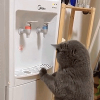 èè�ҵ���������������У�����ʺ��ȴЦ��������