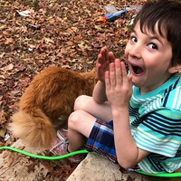 ������èȥ�������к�����������ֱ��һֻ��è���֣�