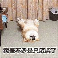 Ҿ뵱ϲ񡱣ôˣ