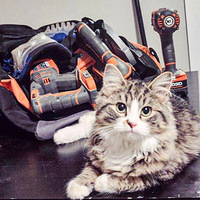 ����ѩ����񵽳��ɰ�Сè���Ӵ�չ��һ������Ե�֣�