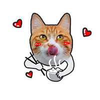 һ����һ�꣬è������������꣡