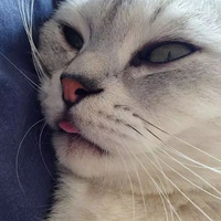 è��ʧȥ�����޵Ľ�ɽ�����˶����ˣ�