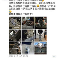 ���Ѽ���ֻӢ�̴���������������š���è��Ȼ��ɫ�ˣ�