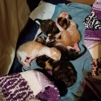 ι���ĺ�������èͻȻʧ�٣������ȴ���ź�����ס�����ӿ��ĵ���