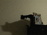 ��������������Ҫ����ˣ�